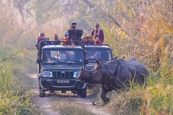 Jeep Safari